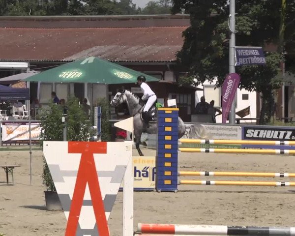 Reitturnier Schwetzingen 2016
