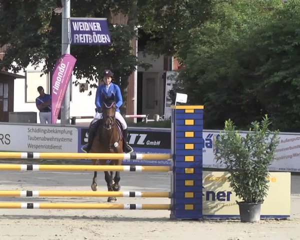 Reitturnier Schwetzingen 2016