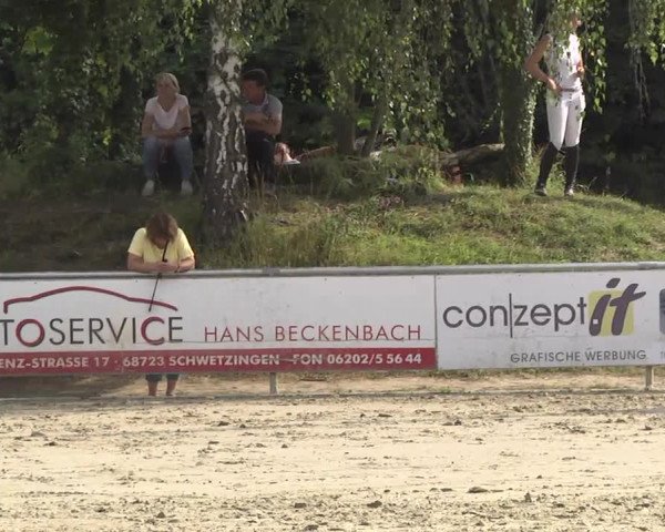 Reitturnier Schwetzingen 2016