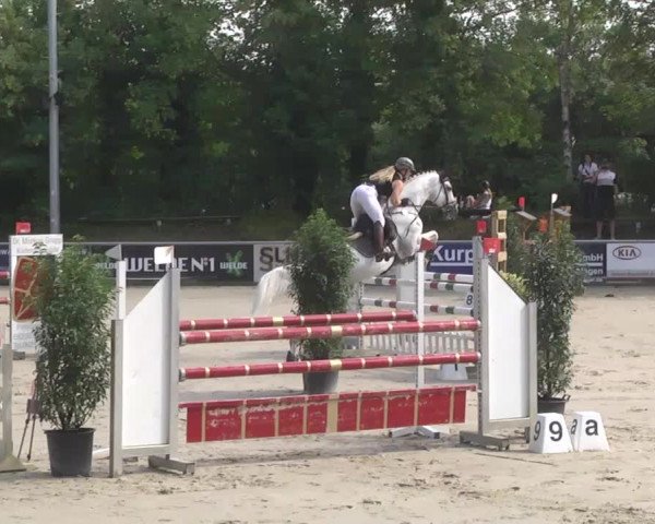 Reitturnier Schwetzingen 2016