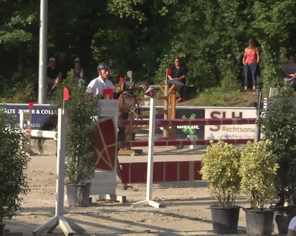 Reitturnier Schwetzingen 2016