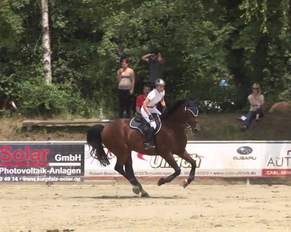 Reitturnier Schwetzingen 2016
