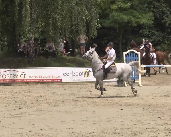 Reitturnier Schwetzingen 2016
