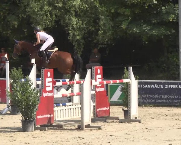 Reitturnier Schwetzingen 2016
