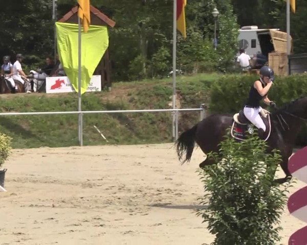 Reitturnier Schwetzingen 2016