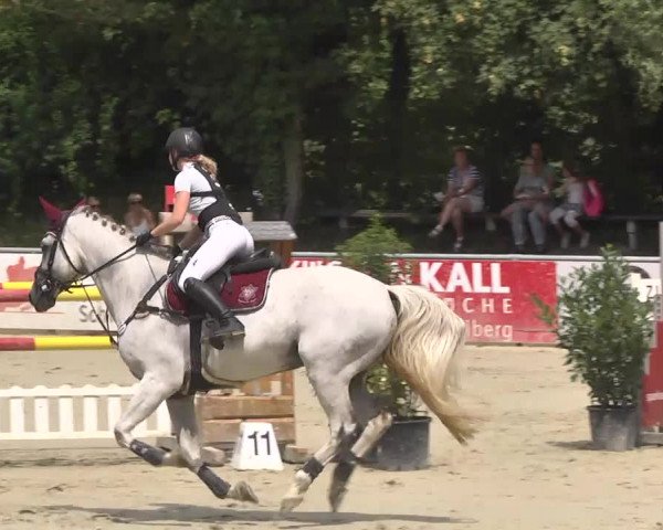 Reitturnier Schwetzingen 2016