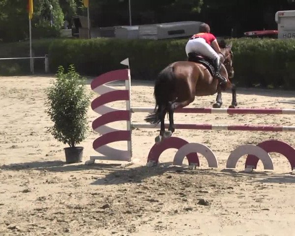 Reitturnier Schwetzingen 2016