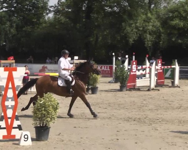 Reitturnier Schwetzingen 2016