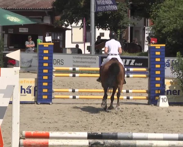 Reitturnier Schwetzingen 2016