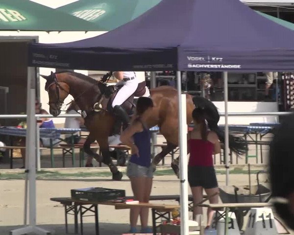 Reitturnier Schwetzingen 2016