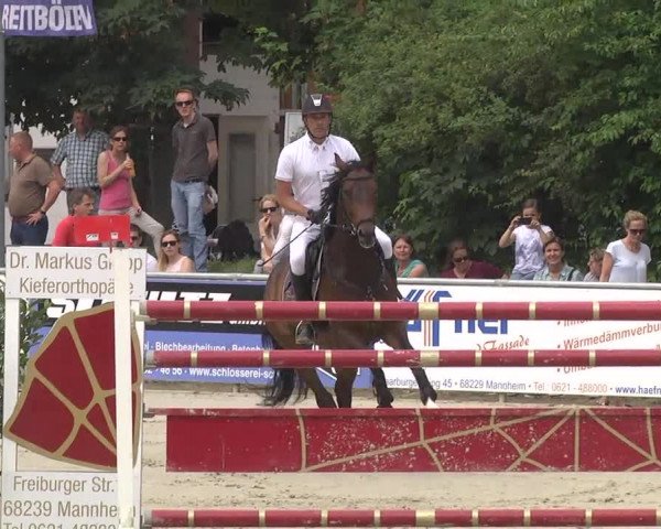 Reitturnier Schwetzingen 2016