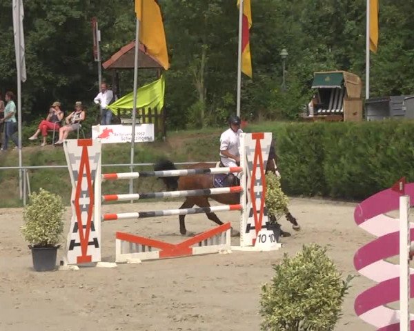 Reitturnier Schwetzingen 2016