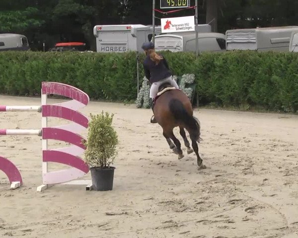 Reitturnier Schwetzingen 2016