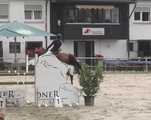 Reitturnier Schwetzingen 2016