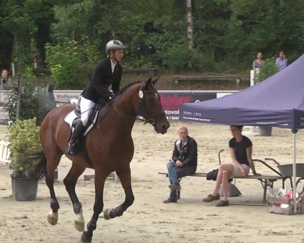 Reitturnier Schwetzingen 2016