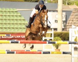 jumper Bolero (KWPN (Royal Dutch Sporthorse), 2006, from Larino)