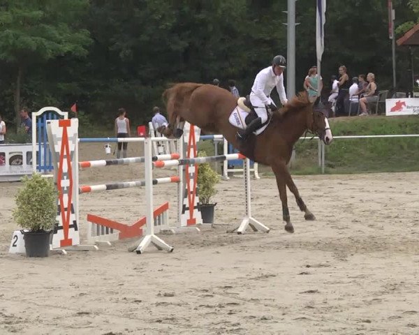 Reitturnier Schwetzingen 2016