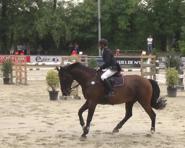 Reitturnier Schwetzingen 2016