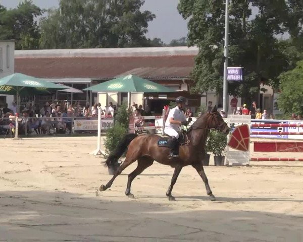 Reitturnier Schwetzingen 2016