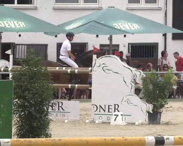 Reitturnier Schwetzingen 2016