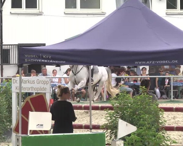 Reitturnier Schwetzingen 2016
