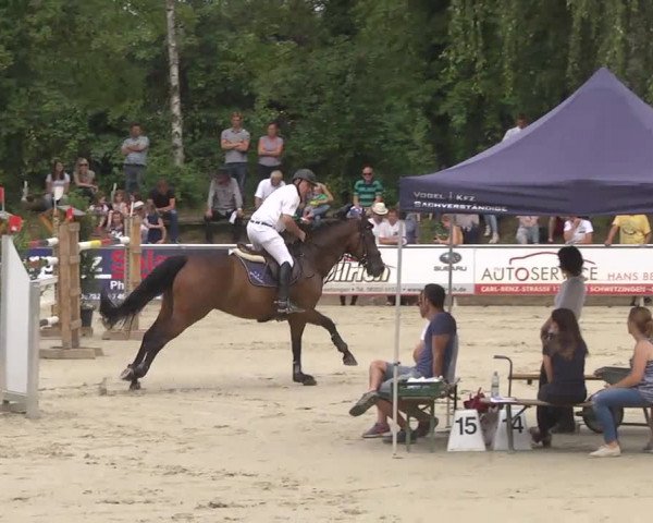 Reitturnier Schwetzingen 2016