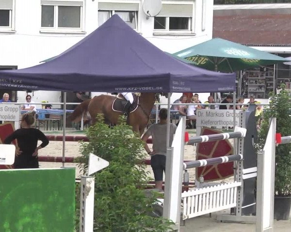 Reitturnier Schwetzingen 2016