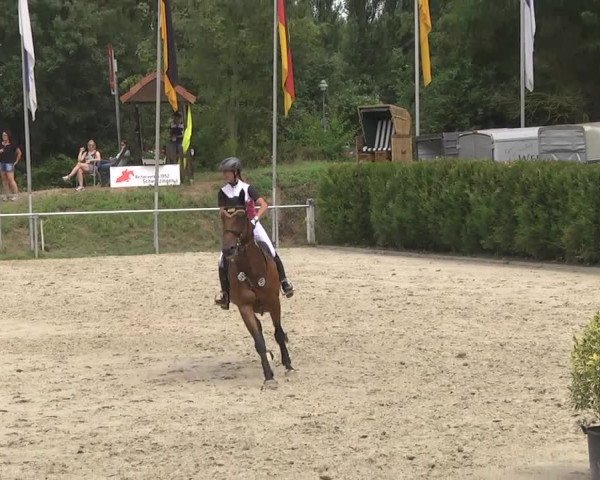 Reitturnier Schwetzingen 2016