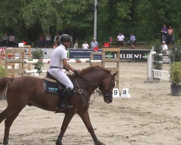 Reitturnier Schwetzingen 2016