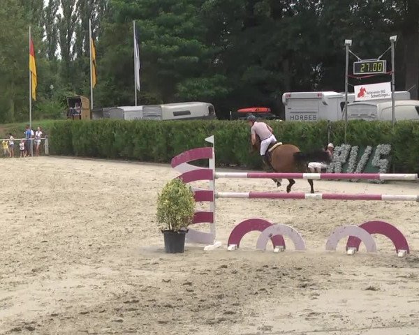 Reitturnier Schwetzingen 2016