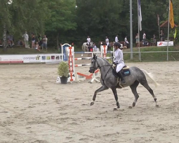 Reitturnier Schwetzingen 2016