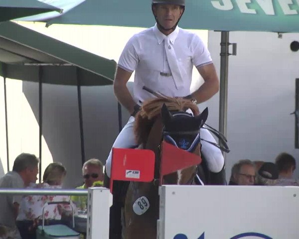 Reitturnier Schwetzingen 2016