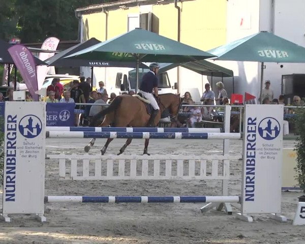 Reitturnier Schwetzingen 2016