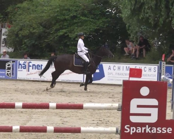 Reitturnier Schwetzingen 2016