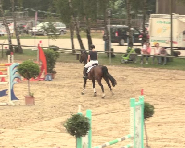 Großes Reit- und Springturnier Herbern 2016