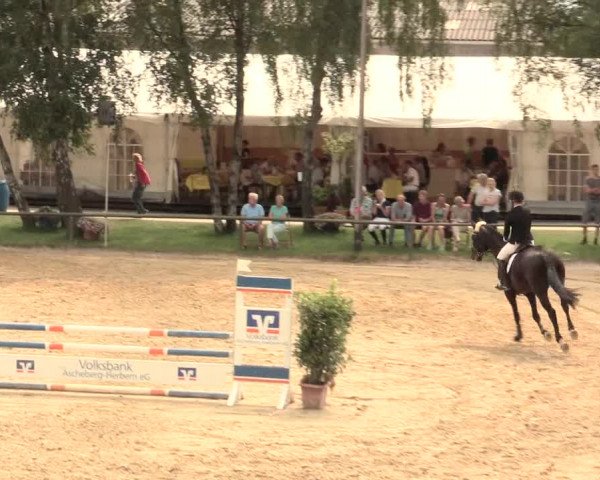 Großes Reit- und Springturnier Herbern 2016