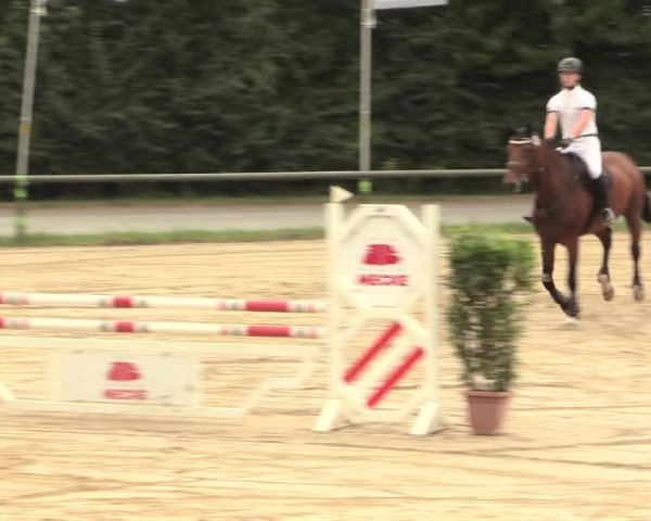 Großes Reit- und Springturnier Herbern 2016