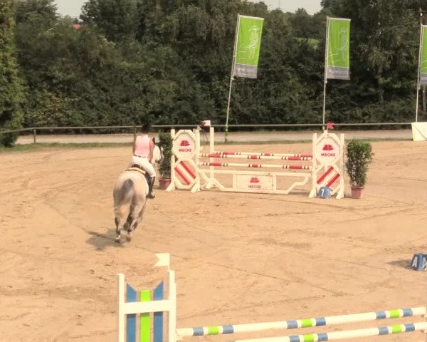 Großes Reit- und Springturnier Herbern 2016