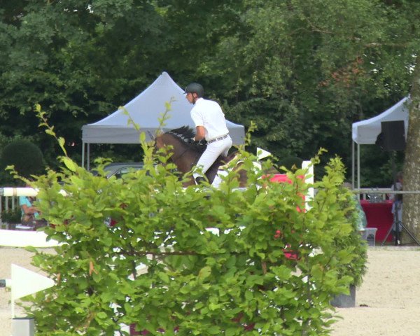 Reitturnier Rot am See-Musdorf 2016