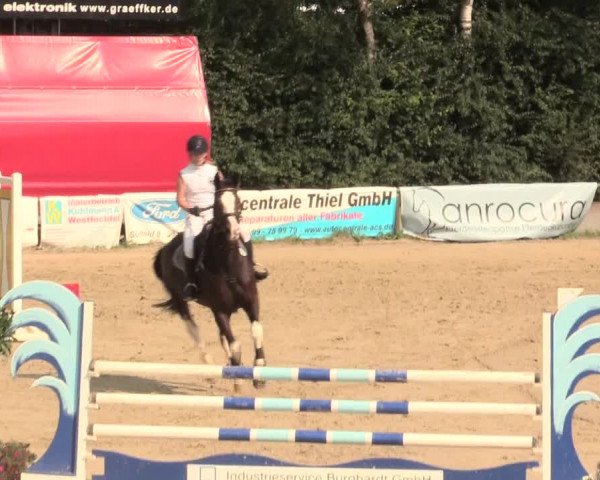 Großes Reit- und Springturnier Herbern 2016