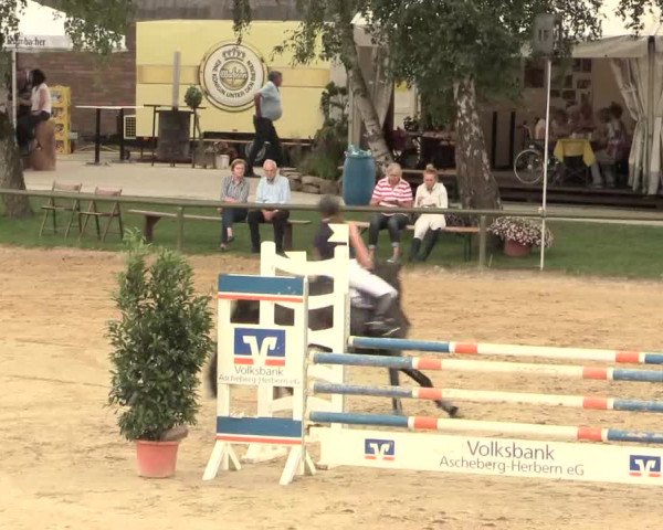 Großes Reit- und Springturnier Herbern 2016