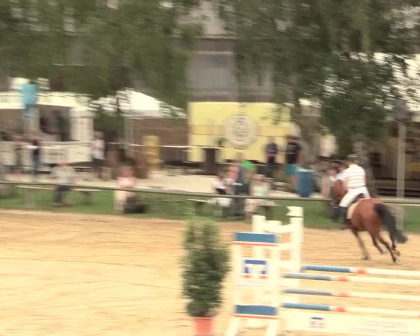 Großes Reit- und Springturnier Herbern 2016
