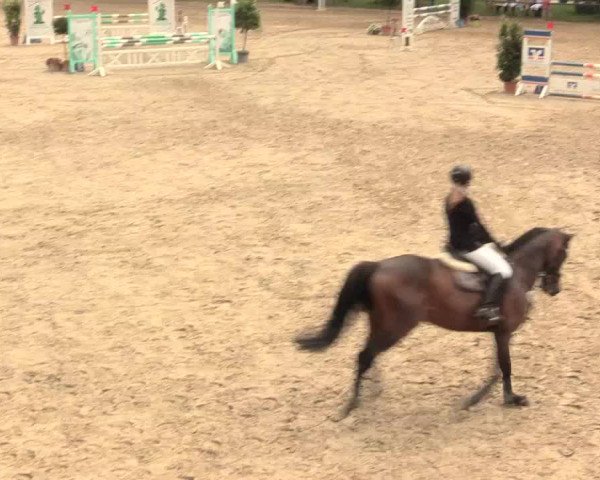 Großes Reit- und Springturnier Herbern 2016