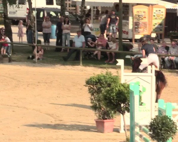 Großes Reit- und Springturnier Herbern 2016