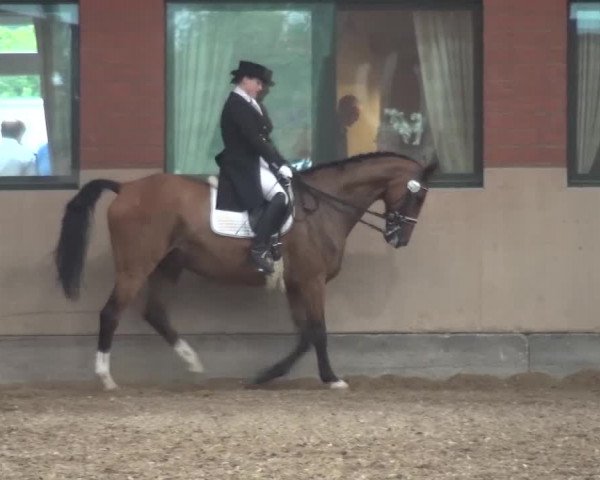 Sommerturnier Neuss-Allerheiligen 2016