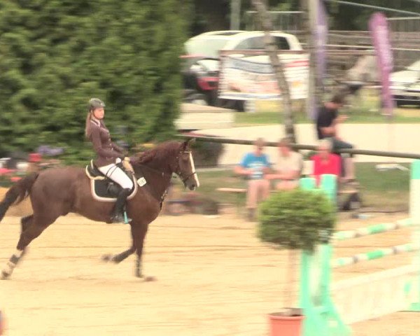 Großes Reit- und Springturnier Herbern 2016