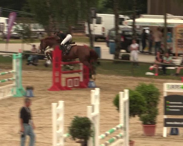 Großes Reit- und Springturnier Herbern 2016