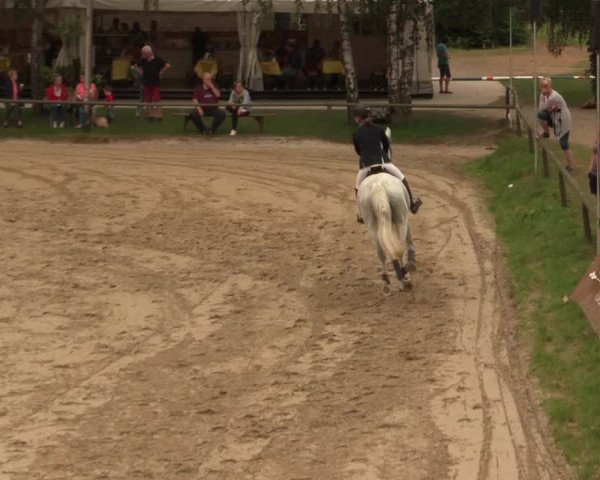 Großes Reit- und Springturnier Herbern 2016