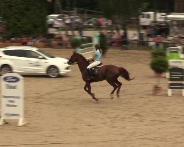 Großes Reit- und Springturnier Herbern 2016