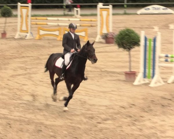 Großes Reit- und Springturnier Herbern 2016